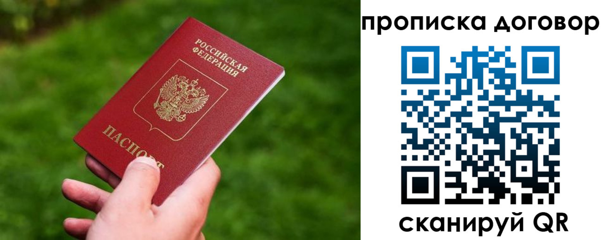 прописка гарантия в Братске
